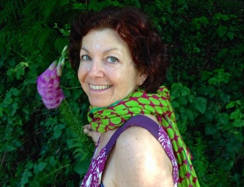 Participant Spotlight: Jill Koenigsdorf